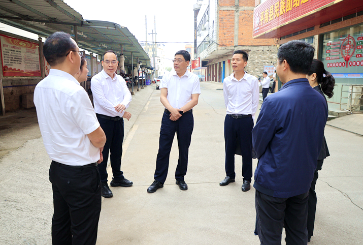 朱会东到平南县开展农村基层党建工作专题调研