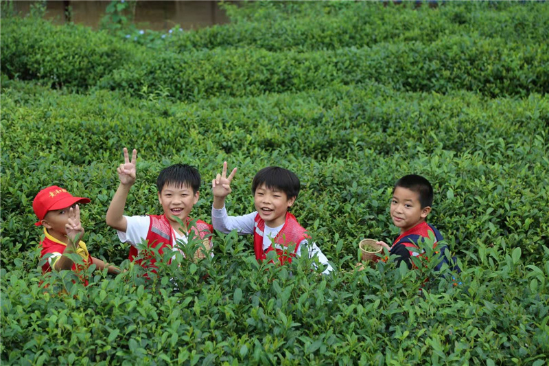 8.庞子隽（右一)参加行走的课堂：我是小小制茶师活动.jpg