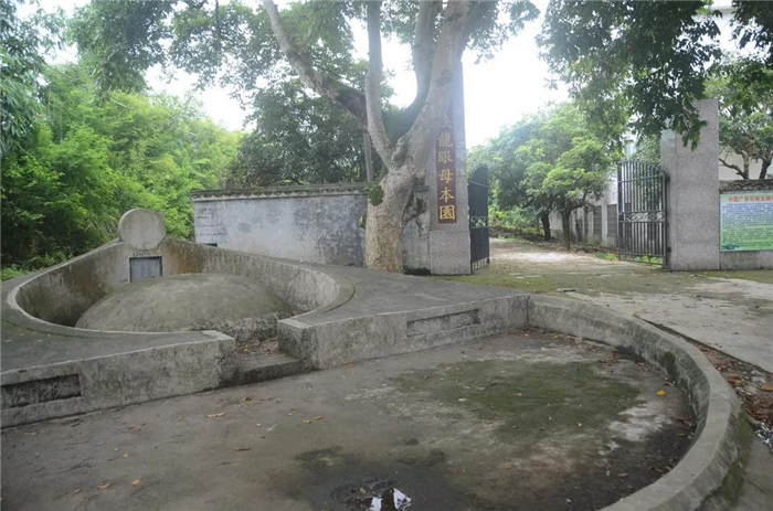 覃敬清的墓地就在母本园前.jpg