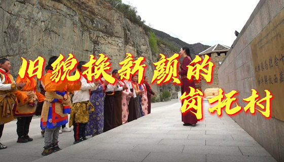 【百年奋斗路 百城访初心】系列报道（视频）：“西藏解放第一村”的沧桑巨变