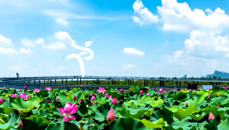 宣传片