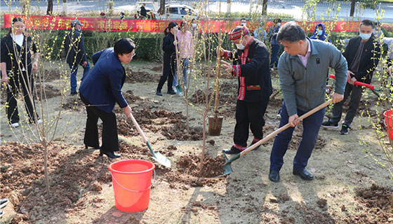 中华民族一家亲，同心共植石榴林