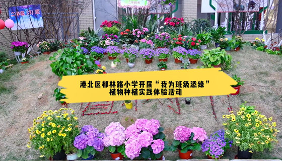 港北区郁林路小学开展“小小设计师 体验劳动美”植树节系列活动