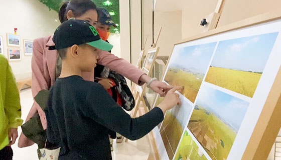 “中国荷城 和美贵港”摄影优秀作品展