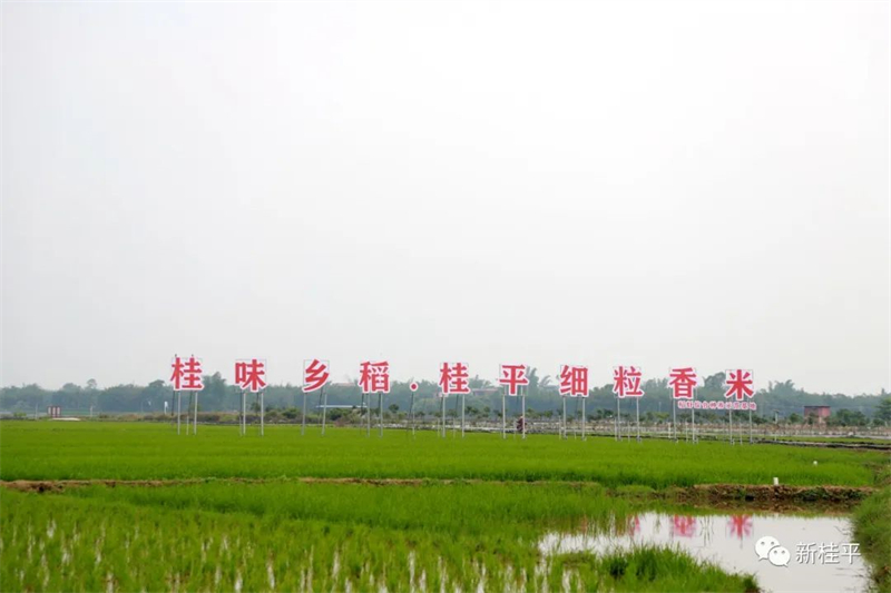 微信图片_20220509180558.jpg