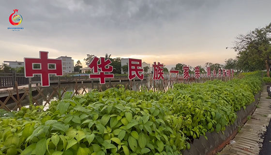 贵港：民族团结进步创建专题采访报道活动