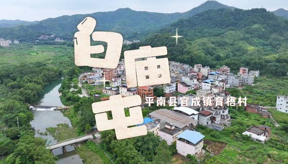 你好，白庙屯