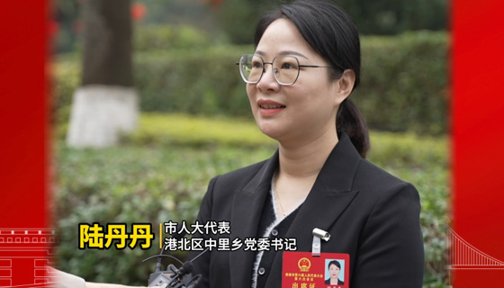 代表有话说：打造产业兴旺  风景秀美  环境宜居的锦绣壮乡