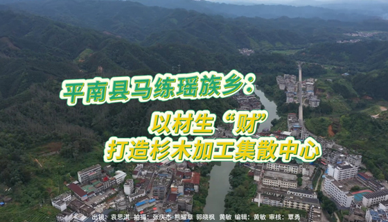 平南县马练瑶族乡：以材生“财” 打造杉木加工集散中心
