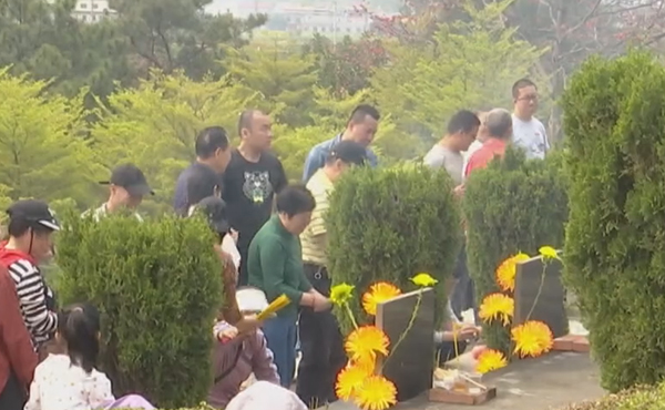 清明祭扫倡新风 文明追思传真情