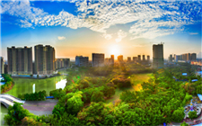 我市启用驾培公共服务平台