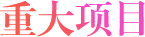 重大建设项目